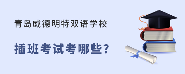 青岛威德明特双语学校插班考试内容有哪些?