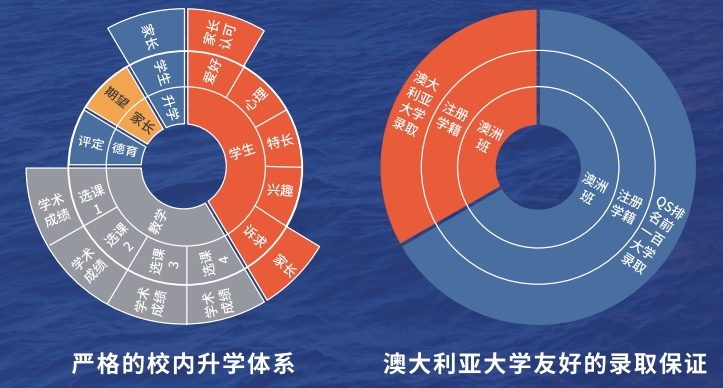 上海松江愛菊wace課程雙保證升學