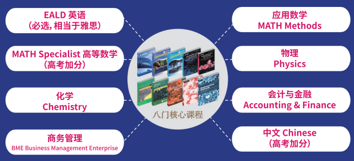 上海松江愛菊wace課程設置