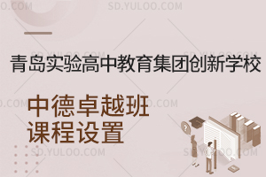 青岛实验高中教育集团创新学校中德卓越班课程设置