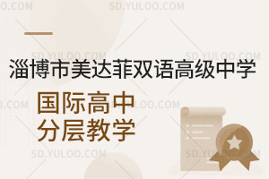 淄博市美达菲双语高级中学国际高中分层教学汇总