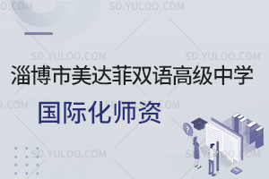 淄博市美达菲双语高级中学国际化师资汇总