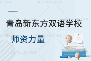 青岛新东方双语学校师资力量如何？