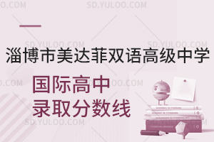 淄博市美达菲双语高级中学国际高中录取分数线是多少？