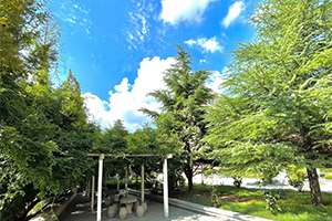 中韩班招生简章