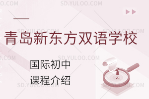 青岛新东方双语学校国际初中都学什么课程?