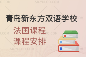 青岛新东方双语学校法国课程课程安排是怎样的？