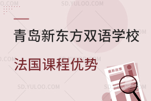 青岛新东方双语学校法国课程优势是什么？