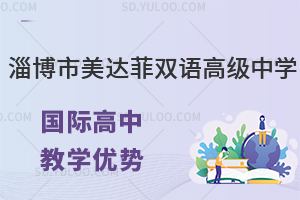 淄博市美达菲双语高级中学国际高中教学优势有什么?