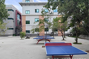 济南市精英学校高中部台球场地