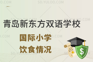 青岛新东方双语学校国际小学的饮食情况怎么样？