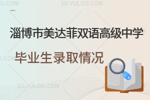 淄博市美达菲双语高级中学毕业生录取情况