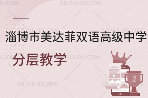 淄博市美达菲双语高级中学分层教学