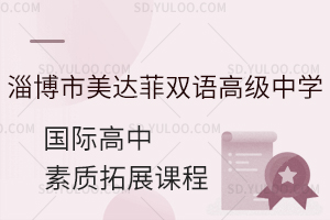 淄博市美达菲双语高级中学国际高中的素质拓展课程?