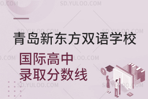青岛新东方双语学校国际高中录取分数线