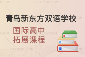 青岛新东方双语学校国际高中拓展课程