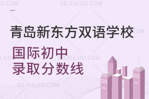 青岛新东方双语学校国际初中录取分数线