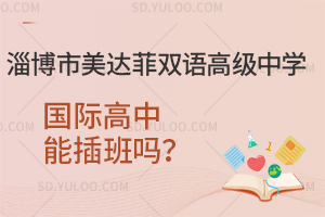 淄博市美达菲双语高级中学国际高中能插班吗？