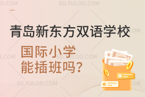 青岛新东方双语学校国际小学能插班吗？