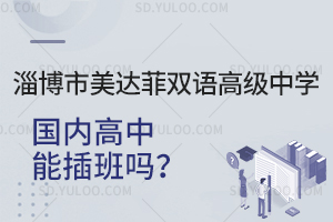 淄博市美达菲双语高级中学国内高中能插班吗？