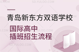 青岛新东方双语学校国际高中插班招生流程