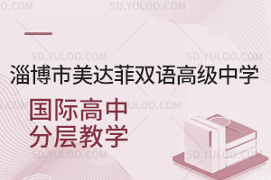 淄博市美达菲双语高级中学国际高中分层教学