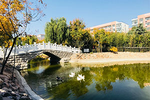 青島通濟(jì)實(shí)驗(yàn)學(xué)校國際部校園一角
