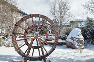 青岛实验高中教育集团创新学校校园环境