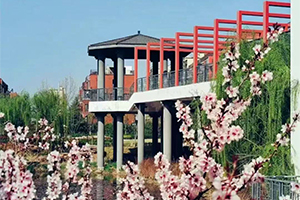 青岛实验高中教育集团创新学校校园环境