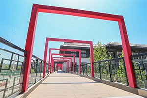 青岛实验高中教育集团创新学校校园环境