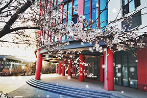 青島實驗高中教育集團創新學校校園環境