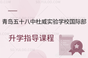 青岛五十八中杜威实验学校国际部升学指导课程