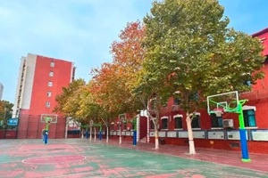 嘉貝國際高中（43中校區(qū)）籃球場