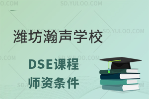 潍坊瀚声学校国际高中香港DSE课程师资条件怎么样？