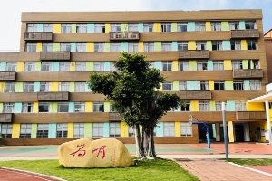 中外合作辦學高中