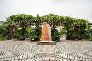 上海金蘋果雙語學校國際部校園環境