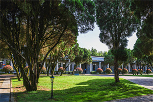 成都市大邑康禮外國語學校校園草地