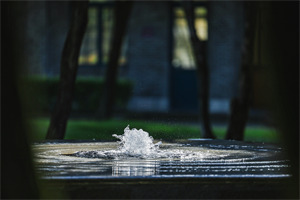 成都市大邑康禮外國語學校人工湖