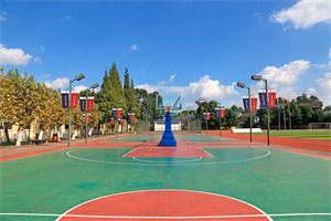 成都市大邑康禮外國語學校操場