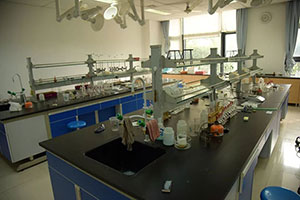 上外賢達賢德國際課程中心實驗室