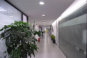 上外賢達賢德國際課程中心走廊