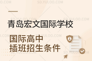 青岛宏文国际学校国际高中插班招生条件是怎样的？