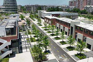 上海松江育才高中校園環境