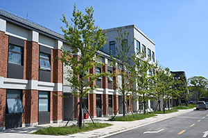 上海松江育才高中校園環境