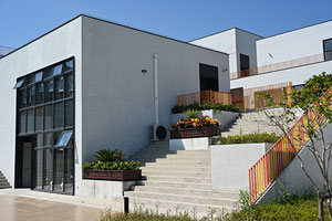 上海松江育才高中校園環境