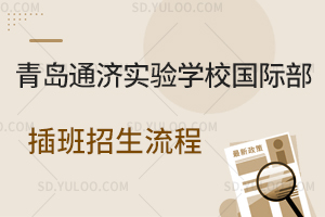 青岛通济实验学校国际部插班招生流程是怎样的？