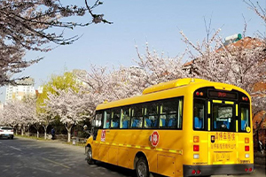 青島白珊學校校車服務