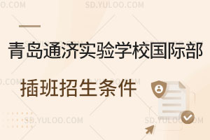 青岛通济实验学校国际部插班招生条件是怎样的？