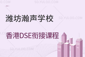 潍坊瀚声学校香港DSE衔接课程是怎样的？