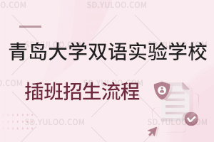 青岛大学双语实验学校插班招生流程是怎样的？
